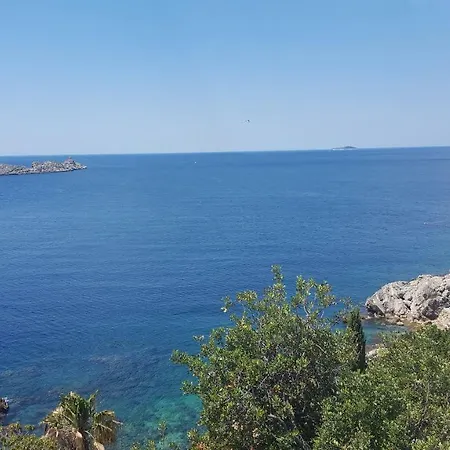 Ivona Ντουμπρόβνικ